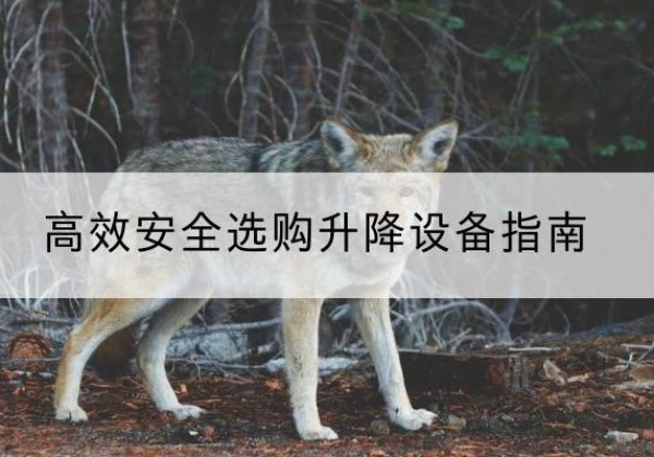 额尔古纳升降货梯厂家推荐-*安全选购升降设备指南