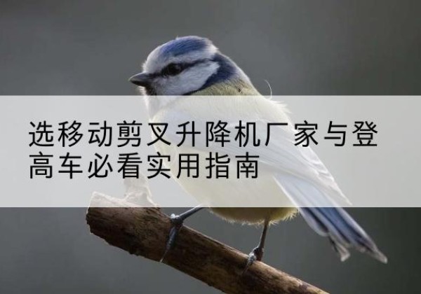 额尔古纳电动升降机厂家-选移动剪叉升降机厂家与登高车必看实用指南