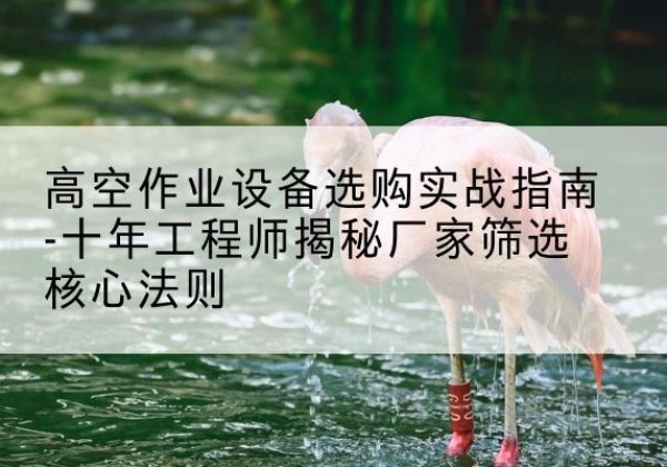 额尔古纳剪叉式升降机厂家-高空作业设备选购实战指南-十年工程师揭秘厂家筛选核心法则